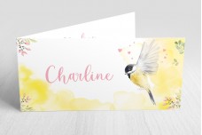 Koolmeesje met aquarel Koolmeesje met aquarel